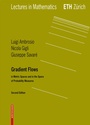 Cover: Gradient Flows - Birkhäuser