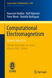 Enlarge image Cover: Computational Electromagnetism - Springer