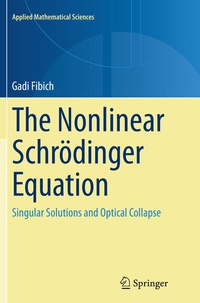 Abbildung von: The Nonlinear Schrödinger Equation - Springer