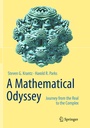 Cover: A Mathematical Odyssey - Springer