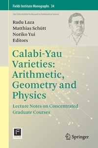 Enlarge image Cover: Calabi-Yau Varieties: Arithmetic, Geometry and Physics - Springer