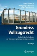 Bild: Grundriss Vollzugsrecht - Springer