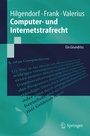Cover: Computer- und Internetstrafrecht - Springer
