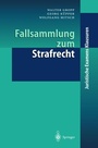 Cover: Fallsammlung zum Strafrecht - Springer