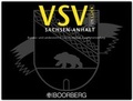 Cover: VSV SACHSEN-ANHALT ON CLICK - Boorberg