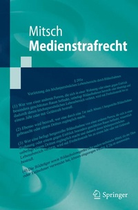 Abbildung von: Medienstrafrecht - Springer