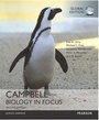 Cover: Campbell Biology in Focus, Global Edition - Pearson Education Limited