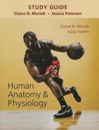 Enlarge image Cover: Study Guide for Human Anatomy & Physiology - Pearson