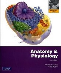 Abbildung von: Anatomy & Physiology with Interactive Physiology 10-System Suite - Pearson