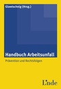 Cover: Handbuch Arbeitsunfall - Linde