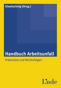 Abbildung von: Handbuch Arbeitsunfall - Linde