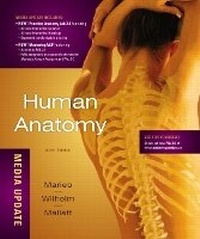 Enlarge image Cover: Human Anatomy, Media Update Plus MasteringA&P with eText -- Access Card Package - Pearson