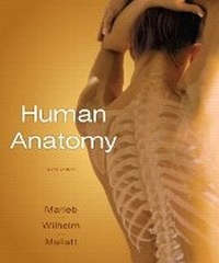 Enlarge image Cover: Human Anatomy with Practice Anatomy Lab 2.0 - Pearson