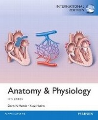 Abbildung von: Anatomy & Physiology - Pearson