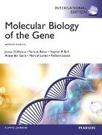 Abbildung von: Molecular Biology of the Gene - Pearson
