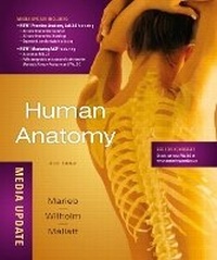 Enlarge image Cover: Human Anatomy, Media Update - Pearson
