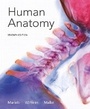 Cover: Human Anatomy - Pearson