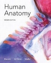 Enlarge image Cover: Human Anatomy - Pearson