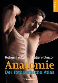 Abbildung von: Anatomie des Menschen - Schattauer