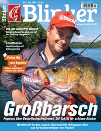 Abbildung von: Blinker - JAHR MEDIA