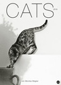 Bild: Wegler Cats Edition - Kalender 2018 - Heye
