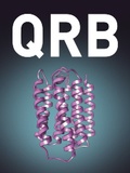 Abbildung von: Quarterly Reviews of Biophysics - Cambridge University Press
