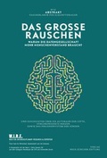 Cover: Abstrakt No. 12 - DAS GROSSE RAUSCHEN - NZZ Libro ein Imprint der Schwabe Verlagsgruppe AG