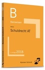 Cover: Basiswissen Schuldrecht Allgemeiner Teil - Alpmann Schmidt