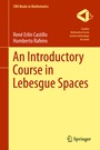 Cover: An Introductory Course in Lebesgue Spaces - Springer