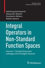 Cover: Integral Operators in Non-Standard Function Spaces - Birkh&auml;user