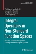 Cover: Integral Operators in Non-Standard Function Spaces - Birkh&auml;user