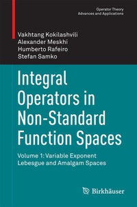 Enlarge image Cover: Integral Operators in Non-Standard Function Spaces - Birkhäuser