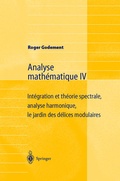 Cover: Analyse math&eacute;matique IV - Springer