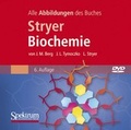 Cover: Bild-DVD, Stryer Biochemie - Spektrum Akademischer Verlag