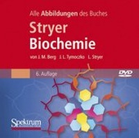 Enlarge image Cover: Bild-DVD, Stryer Biochemie - Spektrum Akademischer Verlag