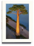 Cover: BAOBAB - Edition Lammerhuber