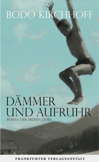 Abbildung von: Dämmer und Aufruhr - Frankfurter Verlagsanstalt