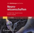 Cover: Bild-DVD, Neurowissenschaften - Spektrum Akademischer Verlag