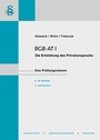 Bild: Skript BGB AT I - Hemmer-Wüst