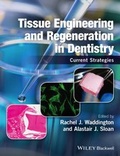 Cover: Tissue Engineering and Regeneration in Dentistry - Wiley
