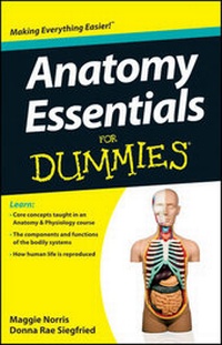 Enlarge image Cover: Anatomy Essentials For Dummies - Wiley