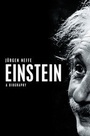 Cover: Einstein - Polity Press