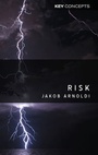 Cover: Risk - Polity Press
