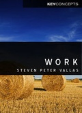 Cover: Work - Polity Press