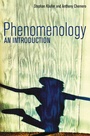 Cover: Phenomenology - Polity Press