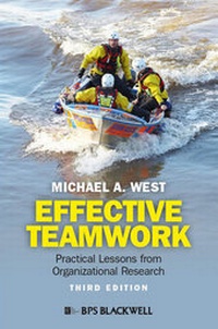 Enlarge image Cover: Effective Teamwork - Wiley