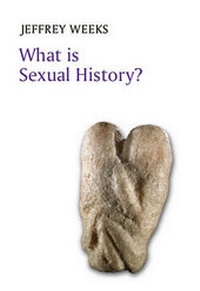 Enlarge image Cover: What is Sexual History? - Polity Press