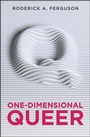 Cover: One-Dimensional Queer - Polity Press
