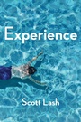 Cover: Experience - Polity Press