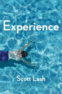 Enlarge image Cover: Experience - Polity Press